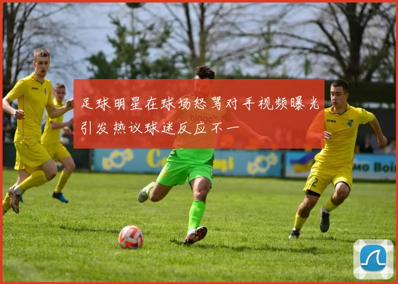 足球明星在球场怒骂对手视频曝光引发热议球迷反应不一