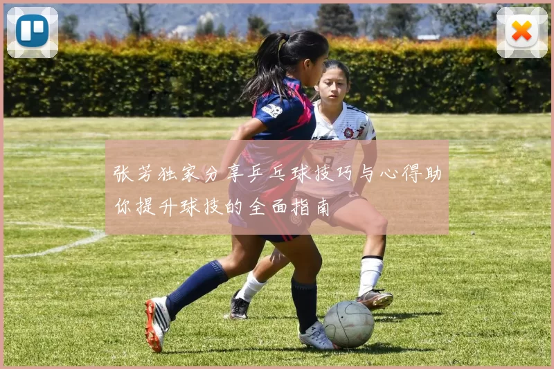 张芳独家分享乒乓球技巧与心得助你提升球技的全面指南