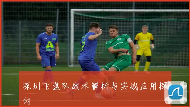 深圳飞盘队战术解析与实战应用探讨