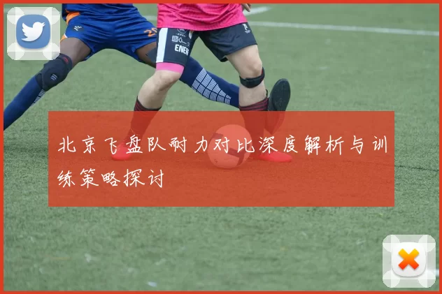 北京飞盘队耐力对比深度解析与训练策略探讨