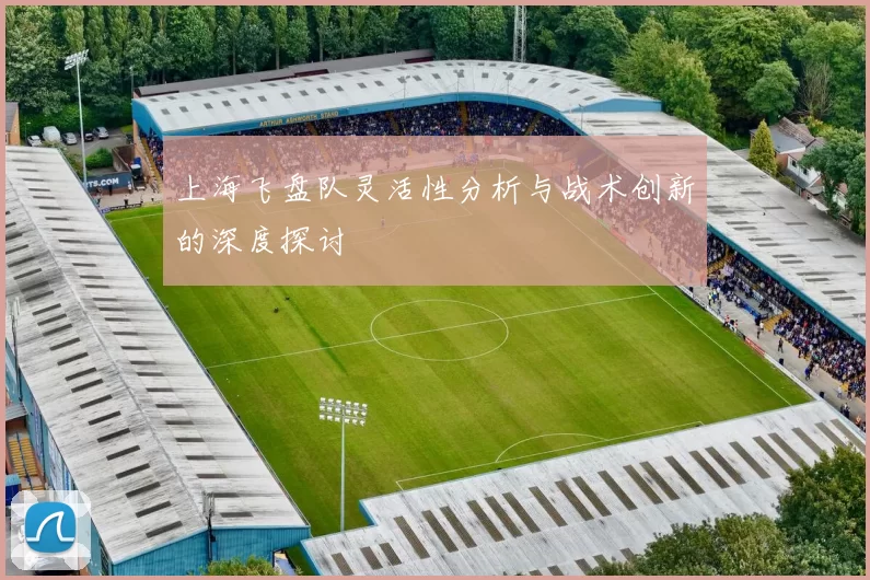 上海飞盘队灵活性分析与战术创新的深度探讨