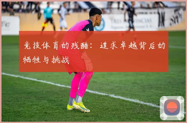 竞技体育的残酷：追求卓越背后的牺牲与挑战