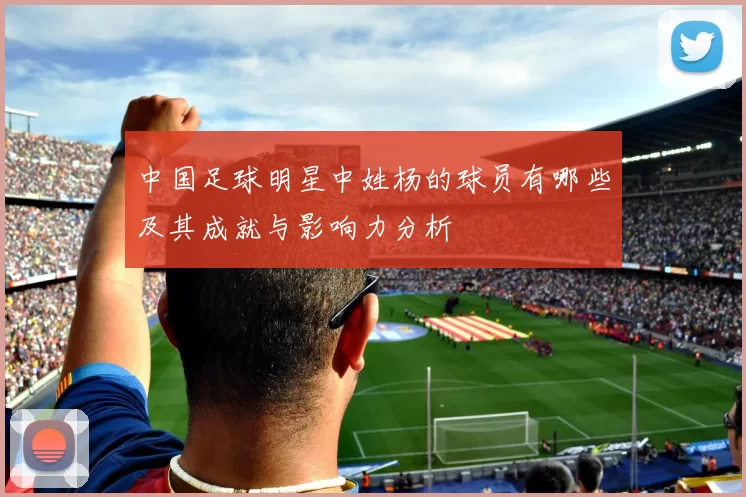 中国足球明星中姓杨的球员有哪些及其成就与影响力分析