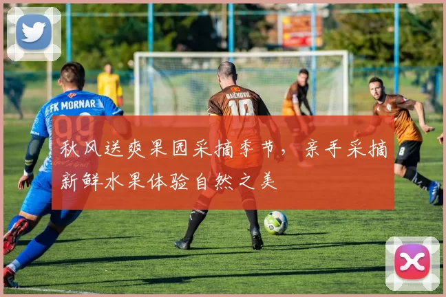 秋风送爽果园采摘季节，亲手采摘新鲜水果体验自然之美