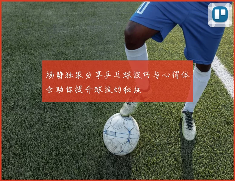 杨静独家分享乒乓球技巧与心得体会助你提升球技的秘诀