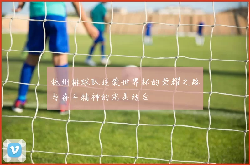 杭州排球队逆袭世界杯的荣耀之路与奋斗精神的完美结合