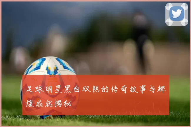 足球明星黑白双煞的传奇故事与辉煌成就揭秘