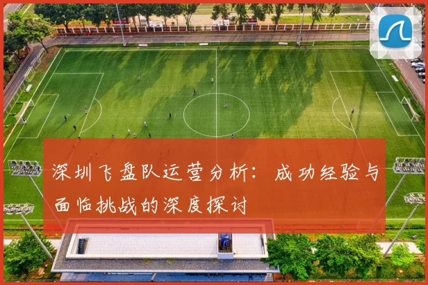深圳飞盘队运营分析：成功经验与面临挑战的深度探讨