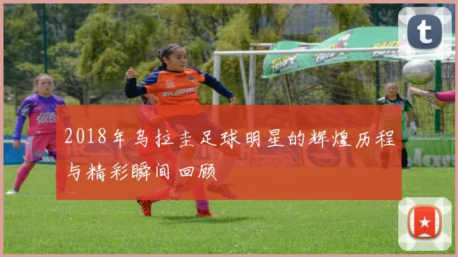 2018年乌拉圭足球明星的辉煌历程与精彩瞬间回顾