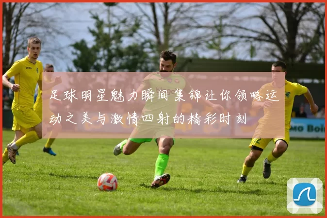 足球明星魅力瞬间集锦让你领略运动之美与激情四射的精彩时刻