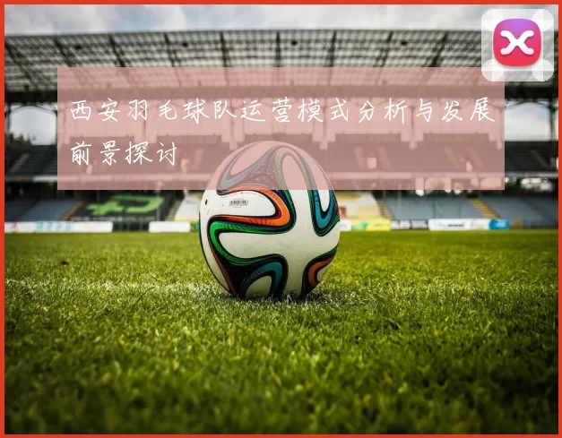 西安羽毛球队运营模式分析与发展前景探讨
