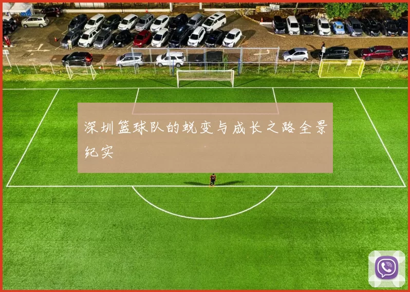 深圳篮球队的蜕变与成长之路全景纪实