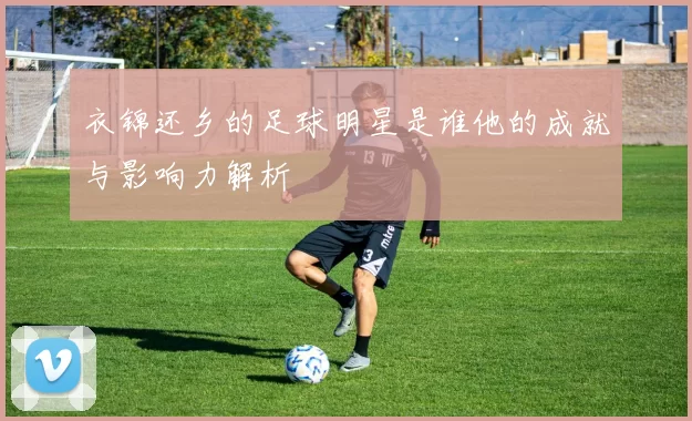 衣锦还乡的足球明星是谁他的成就与影响力解析