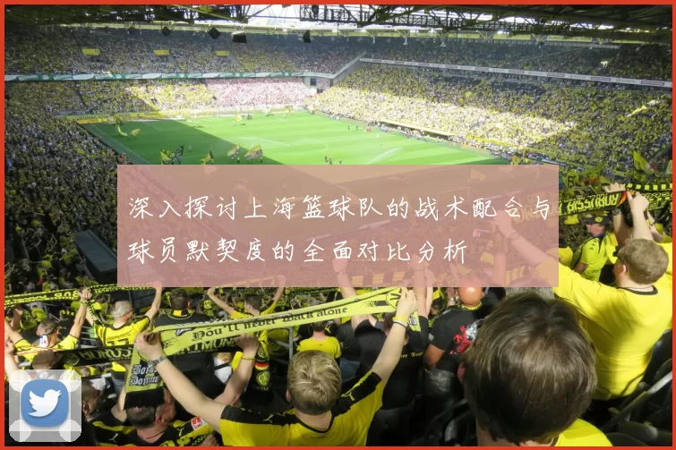 深入探讨上海篮球队的战术配合与球员默契度的全面对比分析