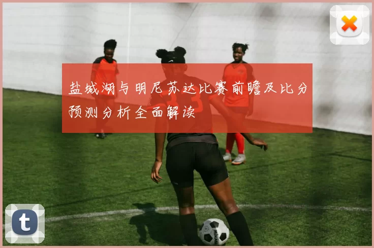 盐城湖与明尼苏达比赛前瞻及比分预测分析全面解读
