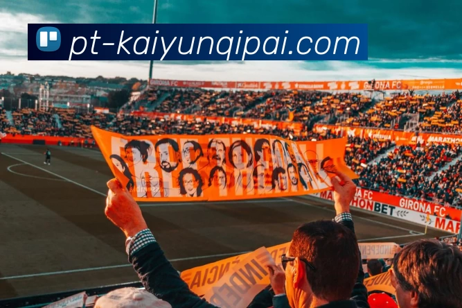 开云APP平台生态图