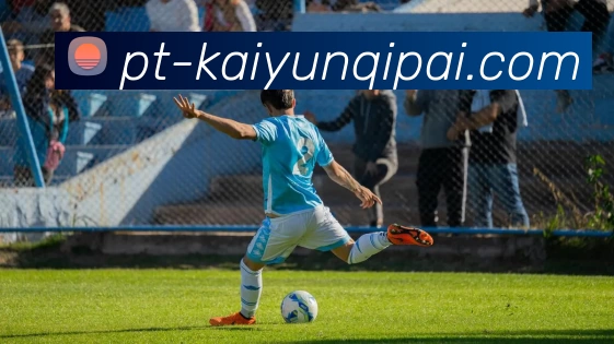 开云APPAPP 封面图